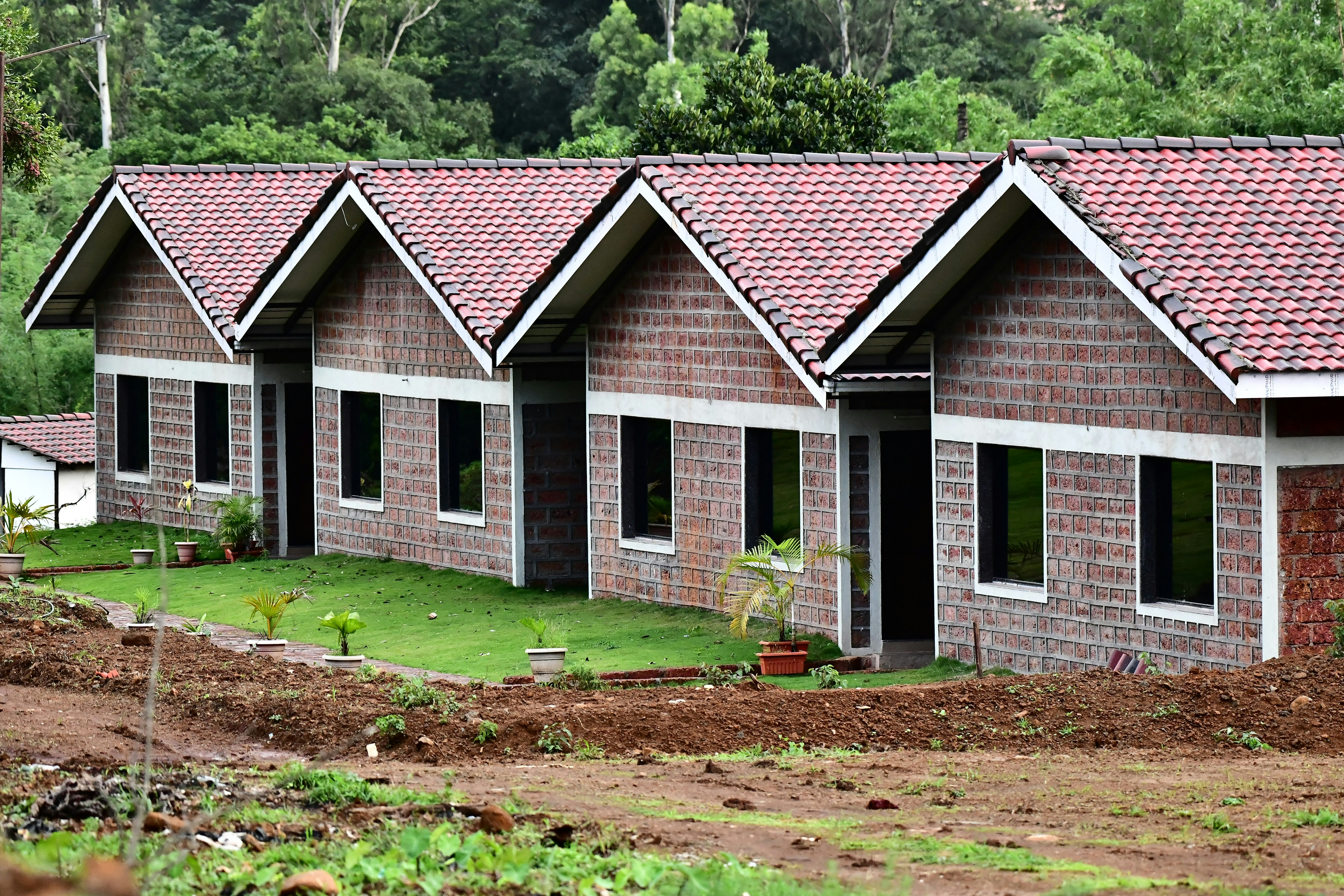 Your Family's Future